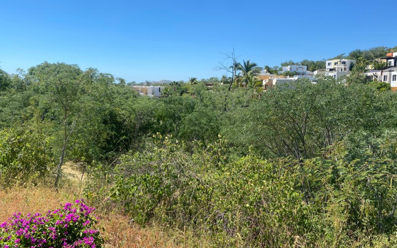San José del cabo, Baja California Sur 23405, ,Land,For Sale,1036